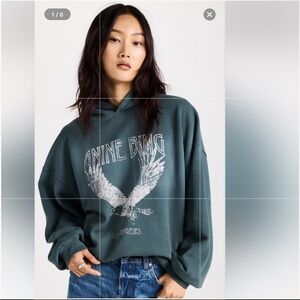 Anine Bing Eagle Ash Blue Turquoise Hoodie Large